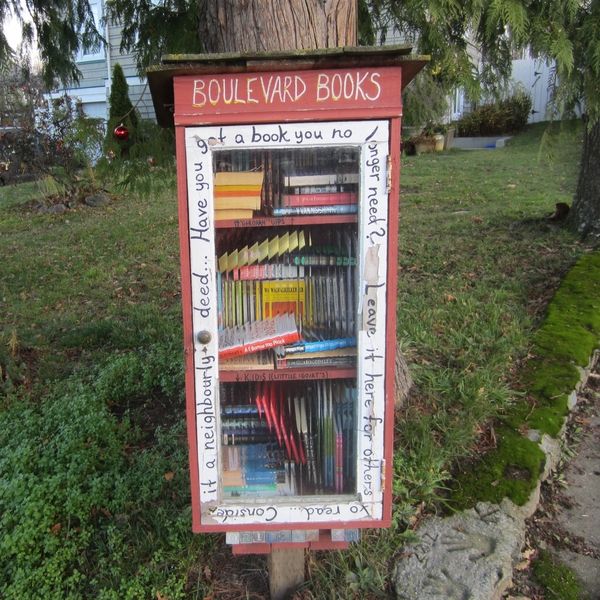 A Little Free Library Walking Tour of My Neighborhood - 50