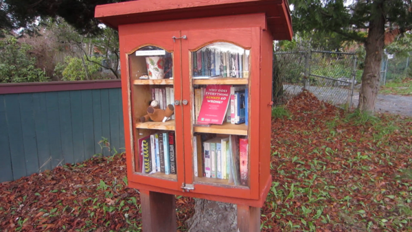 A Little Free Library Walking Tour of My Neighborhood - 41