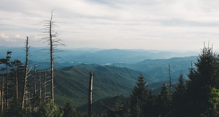 15 Books About Appalachia to Read Instead of HILLBILLY ELEGY