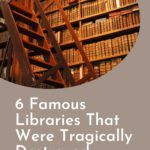 6 Famous Libraries That Were Tragically Destroyed - 96