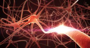 3D rendering of neurons in the brain