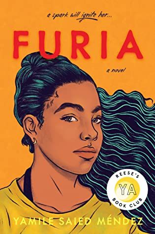 The Art of Creating a Diverse YA Classroom Library with 4 New Releases - 33