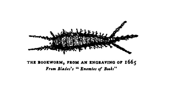 An engraving of a bookworm from William Blade's "Enemies of Books"