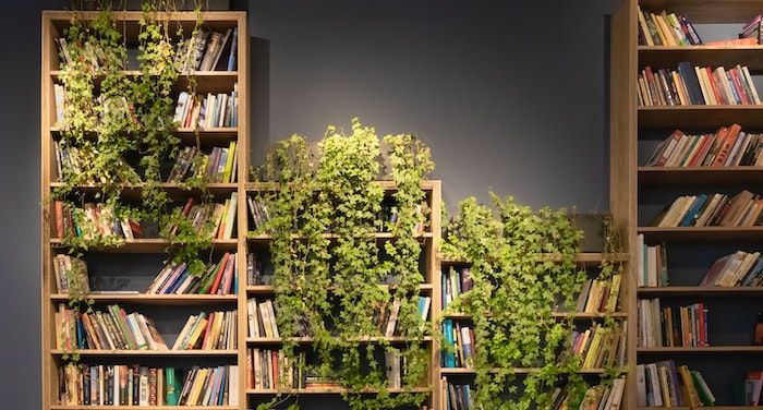 Beautiful Bookshelf Decor Ideas For 2021