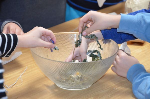 Small hands touching dried flowers in a clear bowl