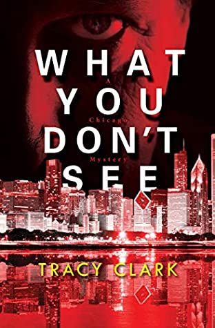 what you don't see book cover