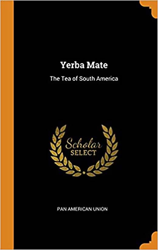 yerba buena a novel book review