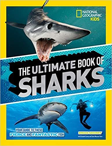 Take A Bite Out Of The 15 Best Shark Books for Kids  - 19