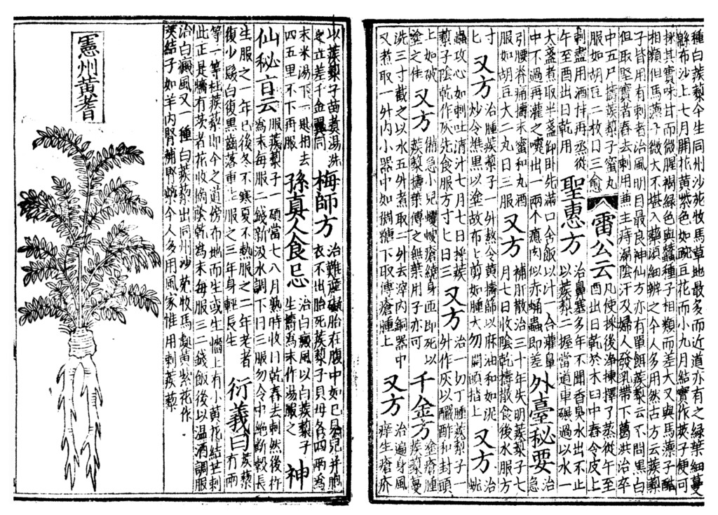 https://en.wikipedia.org/wiki/Woodblock_printing#/media/File:Pen_ts'ao,_woodblock_book_1249-ce.png