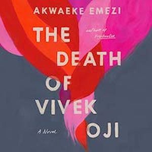 cover of the death of vivek goji