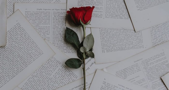 single rose on book pages for love and romance feature