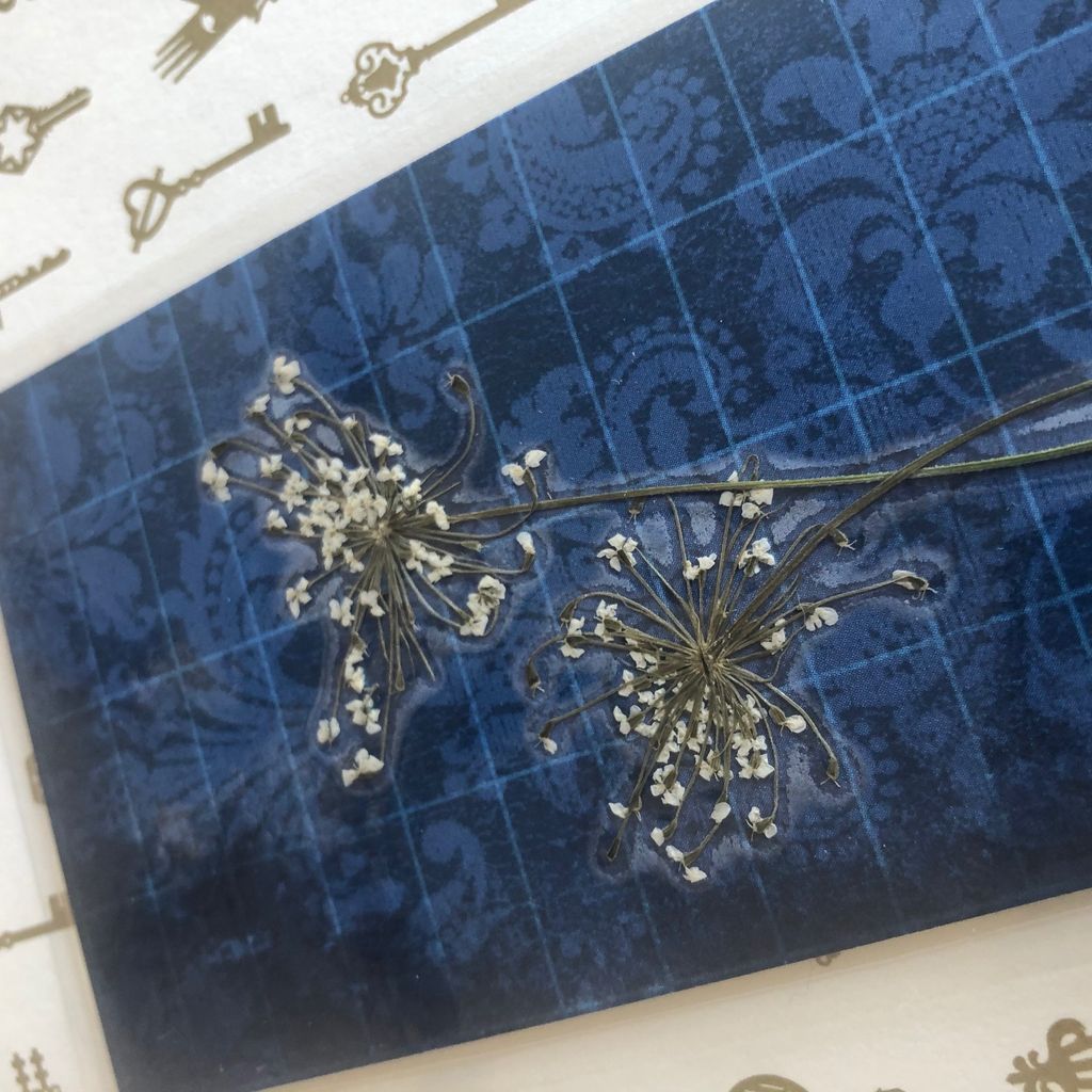 Close-up of pressed flower bookmark.

[photo by me]