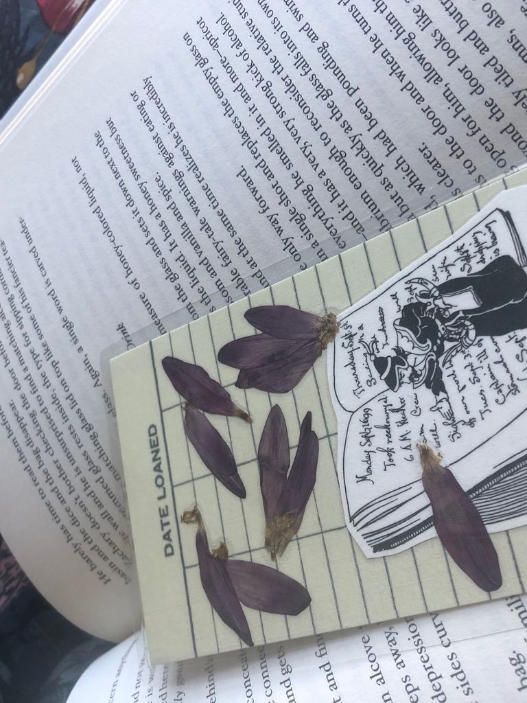 Pressed flower bookmark with scattered petals laying on a book.
[photo by me]