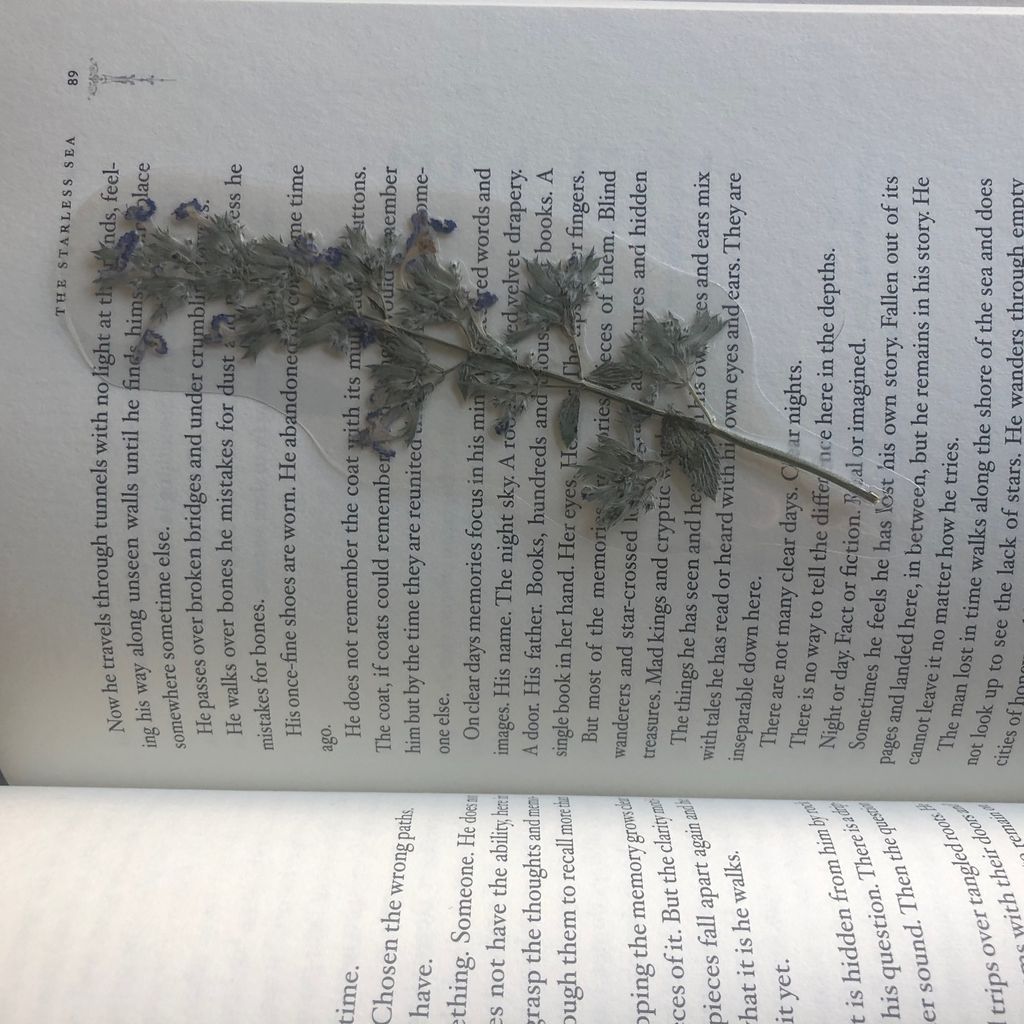 Pressed flower bookmark laying on book page.

[photo by me]