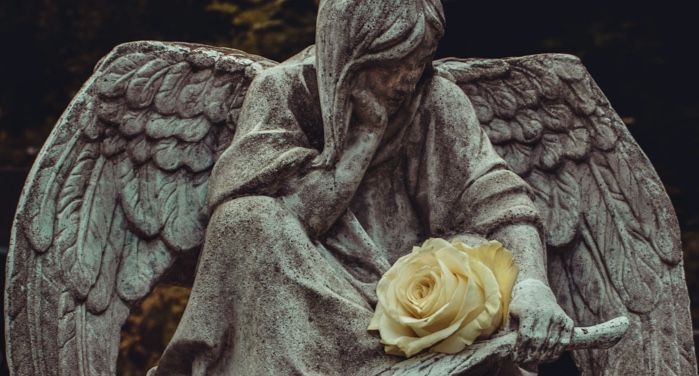 a gothic angel statue with a cream rose on its lap https://unsplash.com/photos/a8GewfTgpys