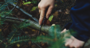 hand cutting a branch with a small knife for survival in the woods