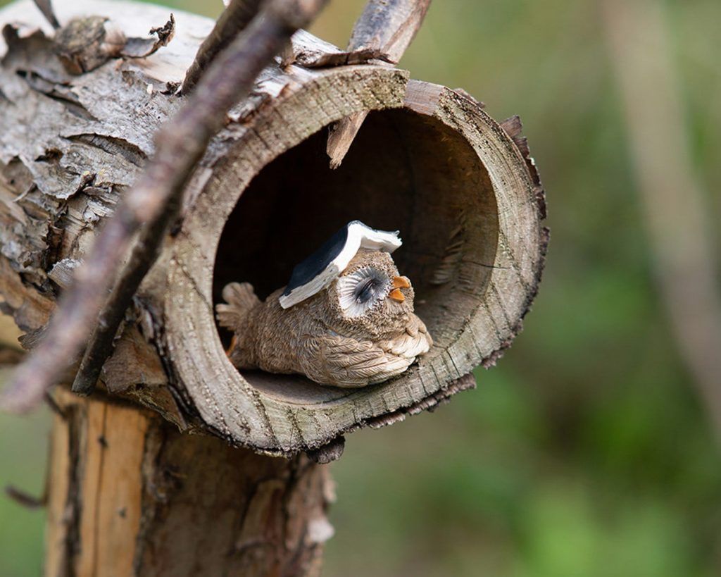 Reading Animal Figurines for a Bookish Fairy Garden - 78