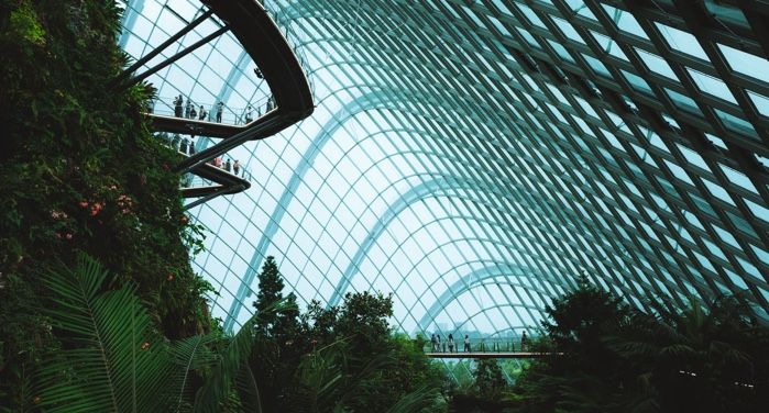 image of the Cloud Forest Bridge at Gardens by the Bay in Singapore https://unsplash.com/photos/BITrZ_FIjAQ