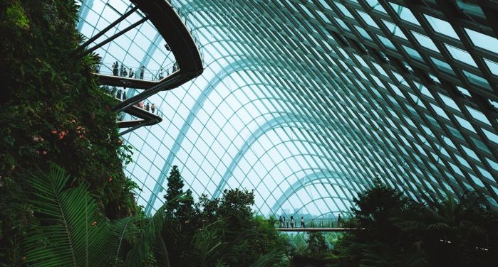 Explore the Best Solarpunk Art