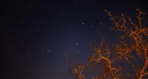 image of a tree bathed in orange light against a starry sky https://unsplash.com/photos/zWNdEfyVEEs