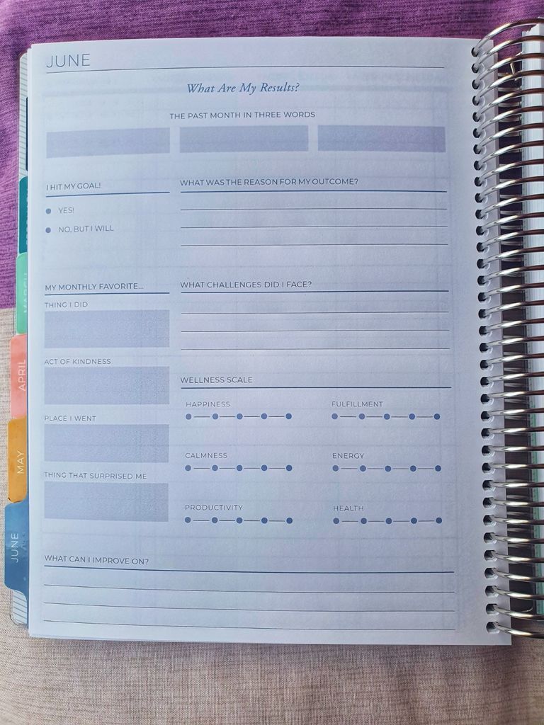 Plum Paper page reading "What are my results?" with spots for "What was the reason for my outcome?" "What challenges did I face?" "Places I went" Wellness scales (happiness, calmness, health), and more.