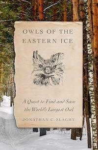 Owls of the Eastern Ice cover