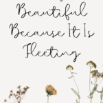 Poetry Is Beautiful Because It Is Fleeting - 65