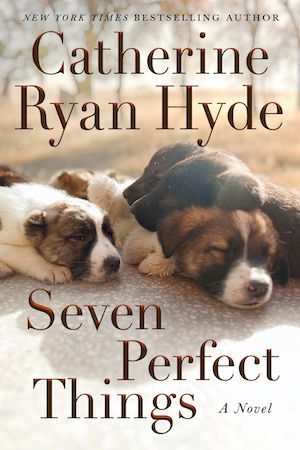 Book cover of Seven Perfect Things