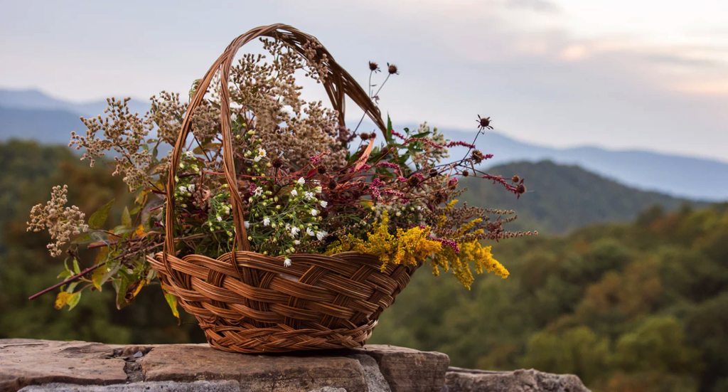 brown woven basket with flowers in it on a gray concrete wall against a backdrop of rolling green hills https://unsplash.com/photos/WLWHXZQHQoU