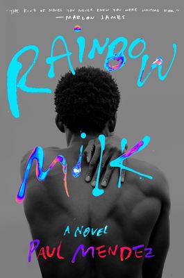 Rainbow Milk Book Cover