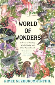 Illustrated Nonfiction Books to Feed Your Sense of Wonder - 75