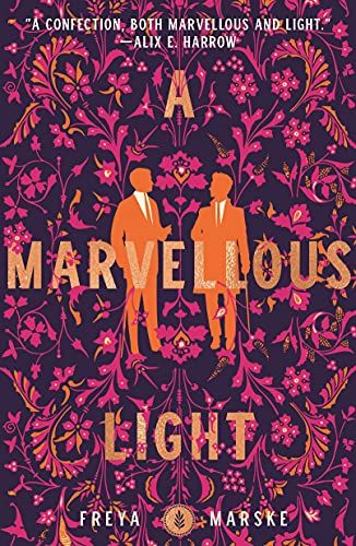 the cover of A Marvellous Light