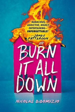 Burn It All Down book cover