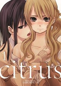 Manga Erotica  A Beginner s Guide To Ecchi   Hentai - 29