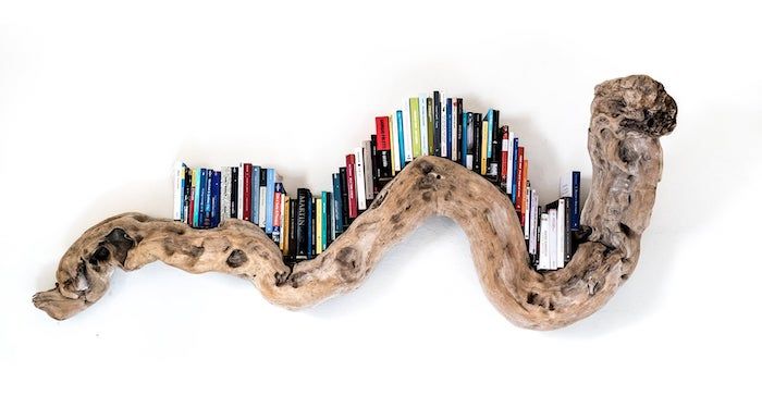 driftwood snake bookshelf feature