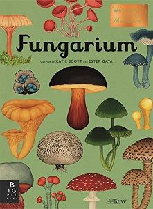 Illustrated Nonfiction Books to Feed Your Sense of Wonder - 61