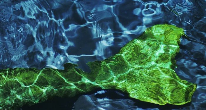 green mermaid tail under water https://unsplash.com/photos/op5zrC8iaDQ