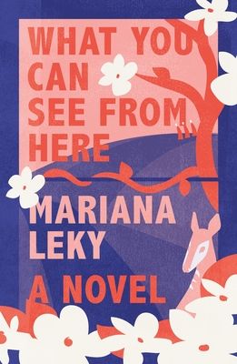 what you can see from here by mariana leky book cover