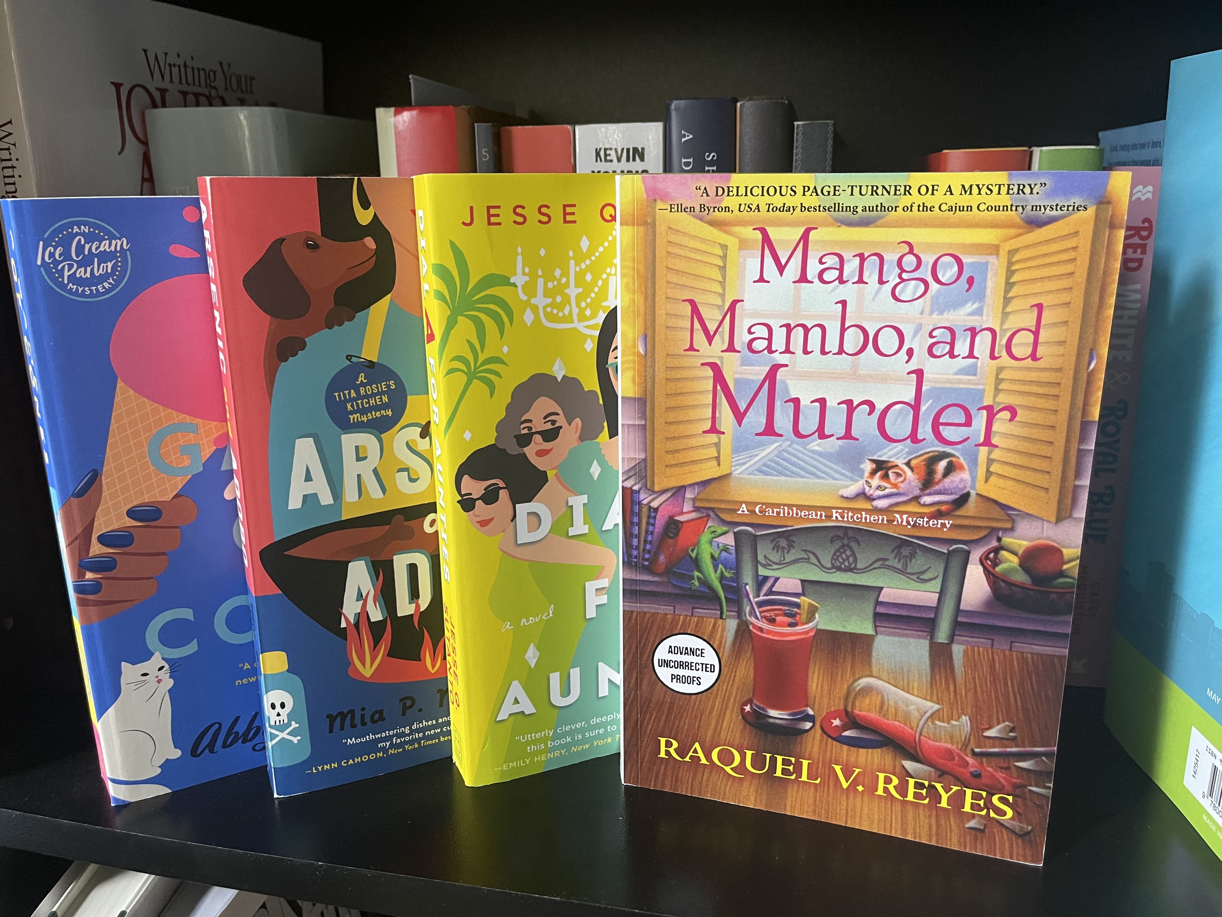 Diverse Cozy Mysteries for a Mystery Mood Boost - 13