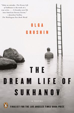 the dream life of sukhanov grushin book cover