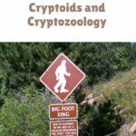 10 Books About Cryptids and Cryptozoology - 91