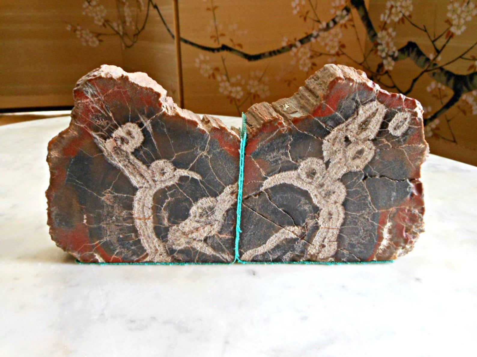 Image of two petrified wood bookends. 