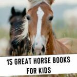 15 Of The Best Horse Books for Kids to Read Right Now - 48