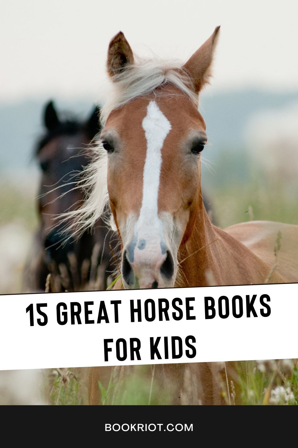 Best Horse Books For 9 Year Olds