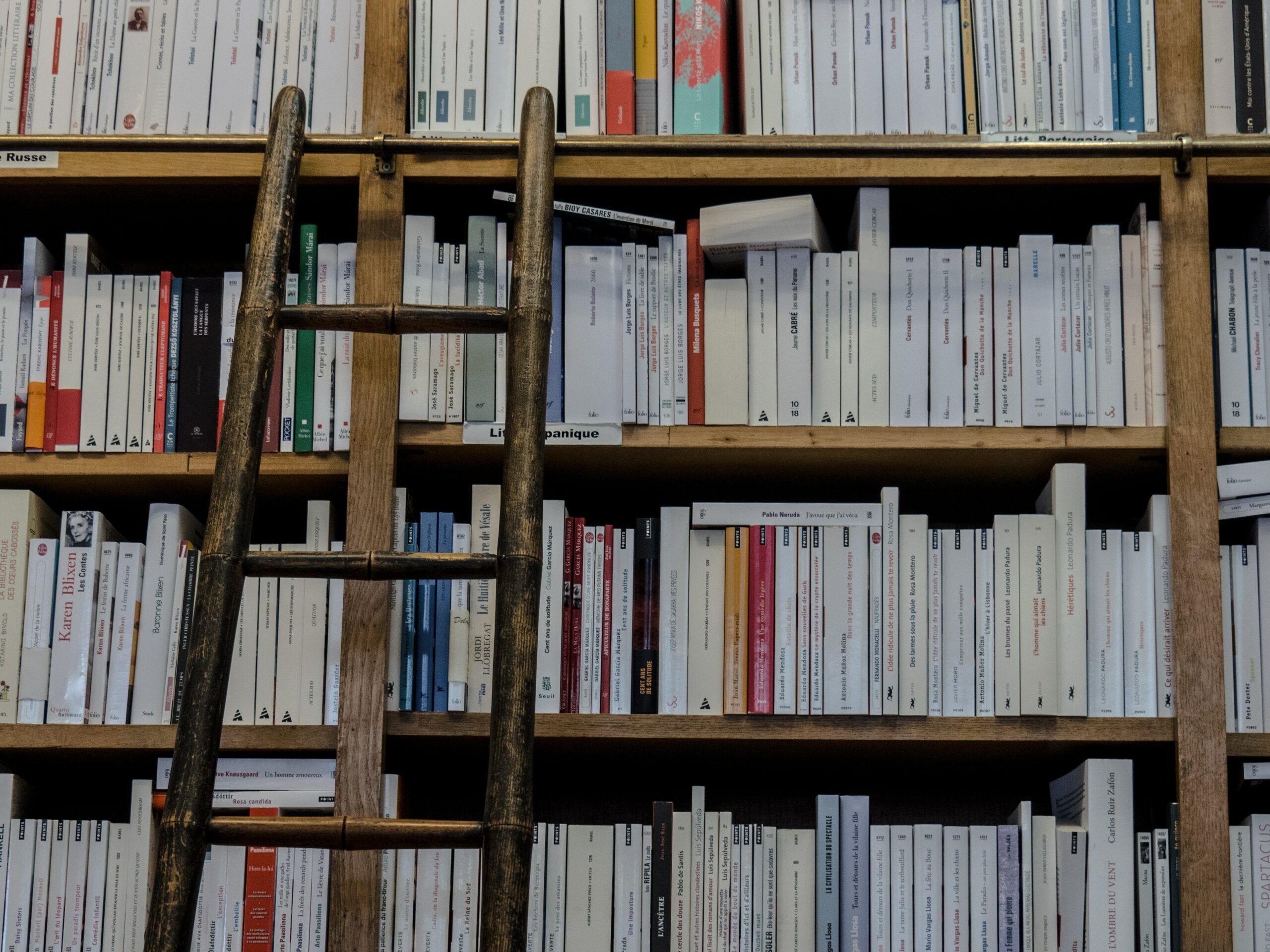 Bookshelves with a ladder leaning against them