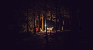 Photo of campfire in the woods