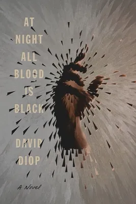 book cover of At Night All Blood is Black by David Diop