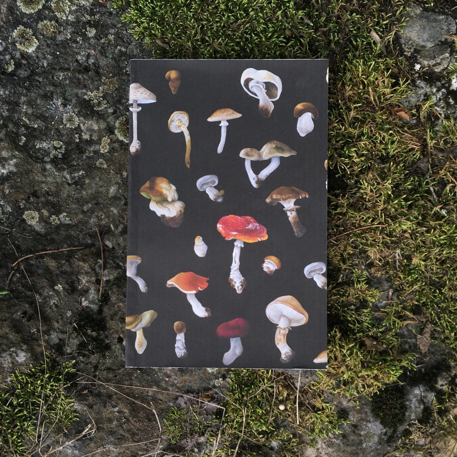 Black notebook with earth color mushrooms. 