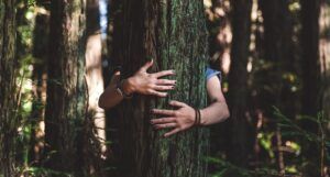a tree being hugged by a person standing behind the tree.