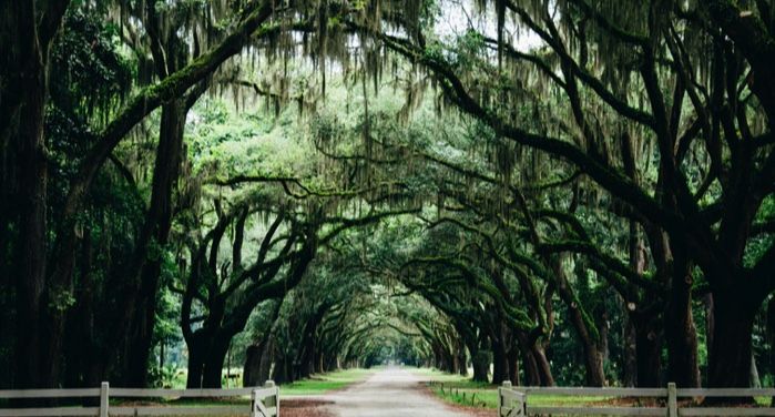 The Six Major Elements Of Southern Gothic Literature